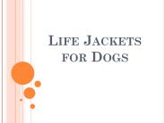 Life Jackets for Pets