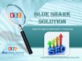 SEO expert services, SEO services firm, SEO outsourcing services