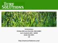 Lawn Weed Control MO PowerPoint PPT Presentation