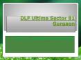 DLF Ultima Premium Residential Apartments PowerPoint PPT Presentation