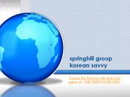 springhill group korean savvy-THE THIEVES REVIEW