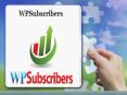 WPSubscribers Plugin PowerPoint PPT Presentation