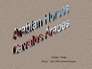 arabian-horses
