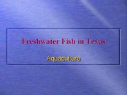 Freshwater Fish in Texas