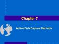 Active Fish Capture Methods PowerPoint PPT Presentation