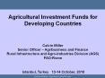 Agricultural Investment Funds for Developing Countries   Calvin Miller Senior Officer  PowerPoint PPT Presentation