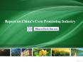 Report on China’s Corn Processing Industry PowerPoint PPT Presentation