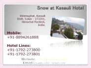 Snow at Kasauli Hotel