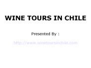 WINE TOURS IN CHILE