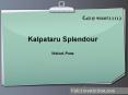 Kalpataru Splendour PowerPoint PPT Presentation