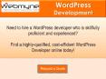 Hire a WordPress Developer Experts with Webmyne System PowerPoint PPT Presentation