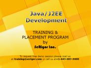 Java Training and Placement Program