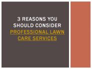3 Reasons You Should Consider Professional Lawn Care Services