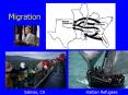 Migration PowerPoint PPT Presentation