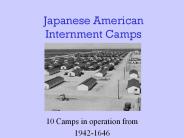 Japanese American Internment Camps
