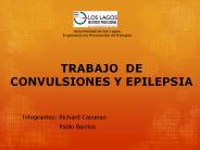 TRABAJO DE CONVULSIONES Y EPILEPSIA