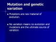 Mutation and genetic variation PowerPoint PPT Presentation