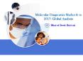 Molecular Diagnostics Market & to 2017: Global Analysis PowerPoint PPT Presentation