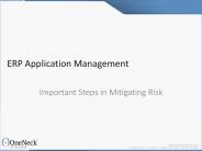 ERP Application Management: Important Steps in Mitigating Risk