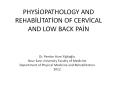 PHYSIOPATHOLOGY AND REHABILITATION OF CERVICAL AND LOW BACK PAIN PowerPoint PPT Presentation