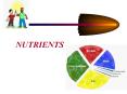 NUTRIENTS PowerPoint PPT Presentation