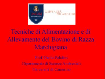Tecniche di Alimentazione e di Allevamento del Bovino di Razza Marchigiana