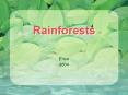 Rainforests PowerPoint PPT Presentation