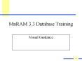MnRAM 3.3 Database Training PowerPoint PPT Presentation