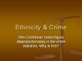 Ethnicity & Crime PowerPoint PPT Presentation