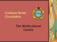 Colбiste Bride Clondalkin PowerPoint PPT Presentation