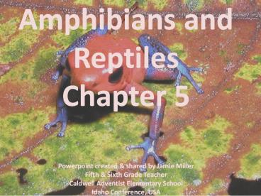 Amphibians and Reptiles Chapter 5  Powerpoint created