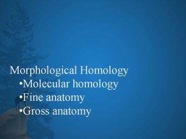 Morphological Homology