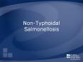 Non-Typhoidal Salmonellosis PowerPoint PPT Presentation