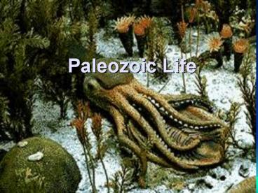 Paleozoic Life
