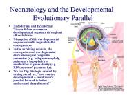Neonatology and the Developmental- Evolutionary Parallel