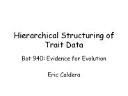 Hierarchical Structuring of Trait Data