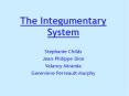 The Integumentary System PowerPoint PPT Presentation