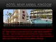 hotel near animal kingdom PowerPoint PPT Presentation