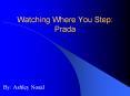 Watching Where You Step: Prada PowerPoint PPT Presentation
