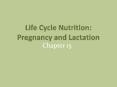 Life Cycle Nutrition: Pregnancy and Lactation PowerPoint PPT Presentation