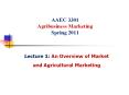 AAEC 3301 Agribusiness Marketing Spring 2011 PowerPoint PPT Presentation