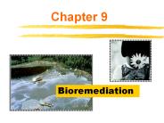Bioremediation