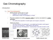 Gas Chromatography