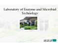 Laboratory of Enzyme and Microbial Technology Research PowerPoint PPT Presentation