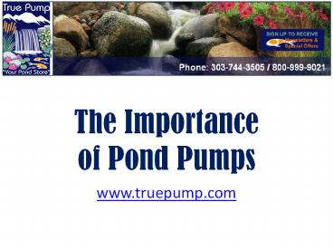 presentation player overlay