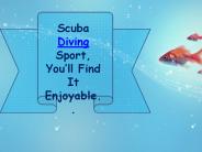 Scuba Diving Sport, You’ll Find It Enjoyable.