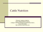 Cattle Nutrition