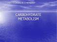 CARBOHYDRATE METABOLISM PowerPoint PPT Presentation