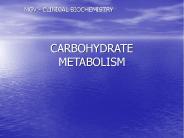 CARBOHYDRATE METABOLISM