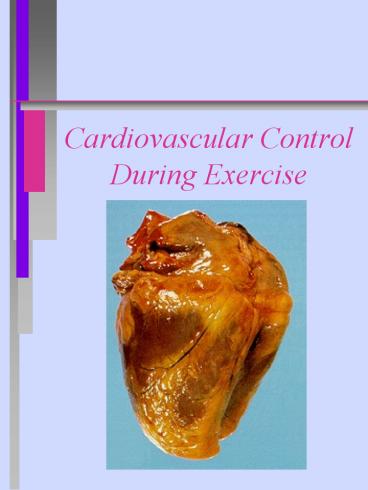 Cardiovascular Control During Exercise